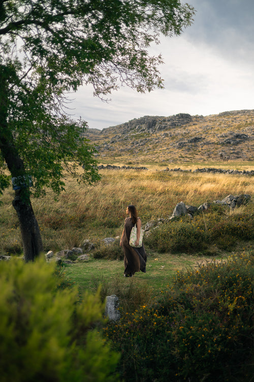Os Pássaros Camuflados
